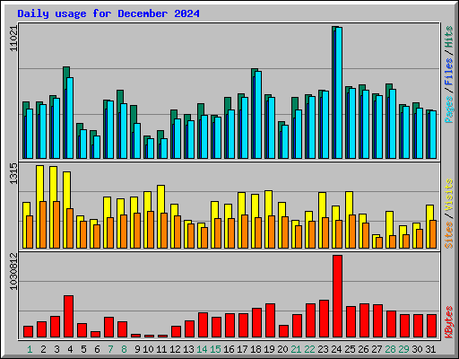 Daily usage for December 2024