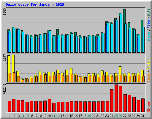 Daily usage for January 2025
