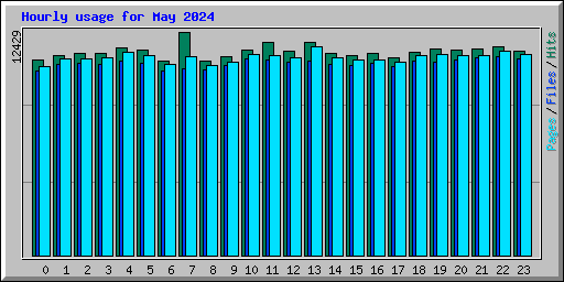 Hourly usage for May 2024