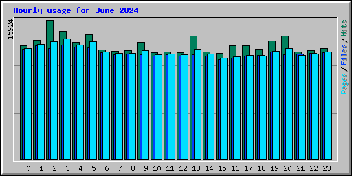 Hourly usage for June 2024