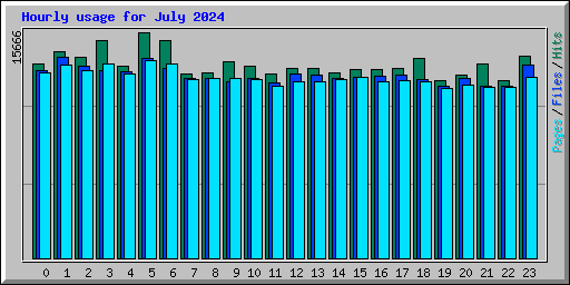 Hourly usage for July 2024