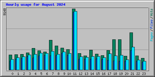 Hourly usage for August 2024