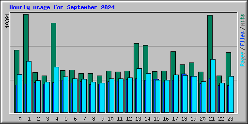 Hourly usage for September 2024