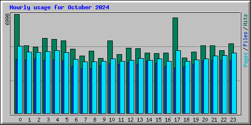 Hourly usage for October 2024