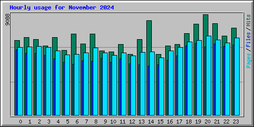 Hourly usage for November 2024