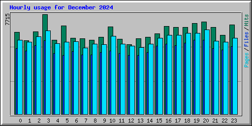 Hourly usage for December 2024