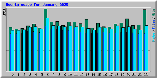 Hourly usage for January 2025