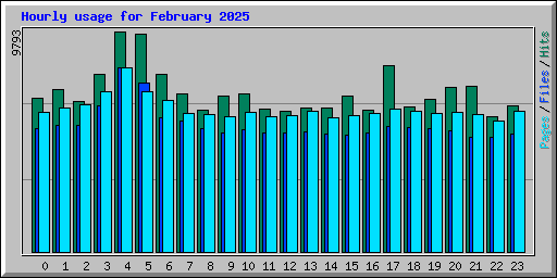 Hourly usage for February 2025