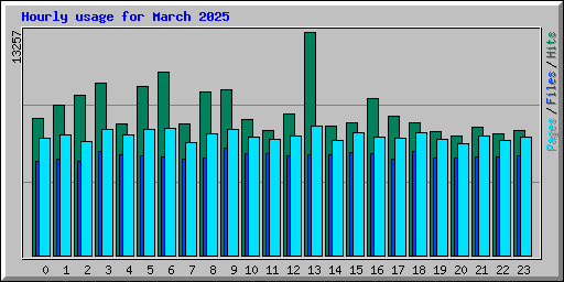 Hourly usage for March 2025