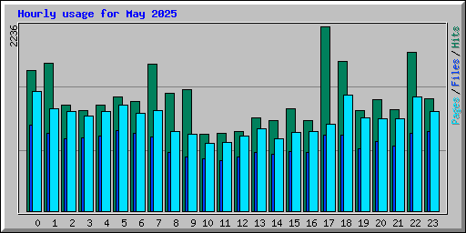 Hourly usage for May 2025