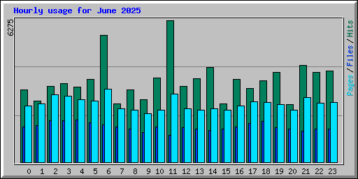 Hourly usage for June 2025