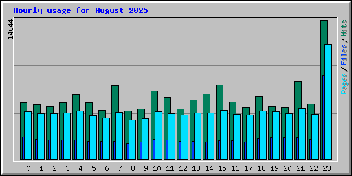 Hourly usage for August 2025